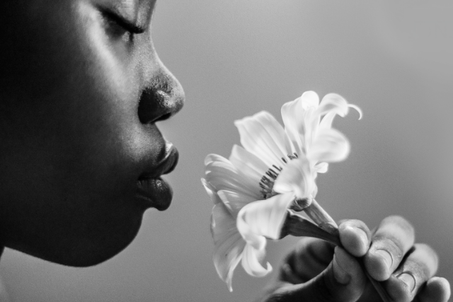 Leia mais sobre o artigo O SILÊNCIO QUE ORGANIZA A ALMA